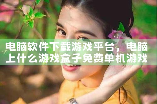 电脑软件下载游戏平台|糖心Vlog入口