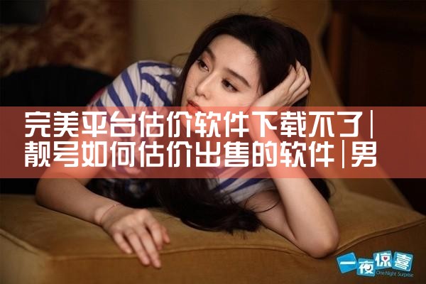 完美平台估价软件下载不了|男娘日记