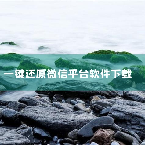 微信恢复精灵：腾讯应用宝认证的正版软件，支持恢复微信好友及聊天记录。需通过应用宝电脑版下载（最新版本为2026年2月更新），操作前需确保手机已开启USB调试模式。数据兔恢复大师：恢复成功率较高，支持照|