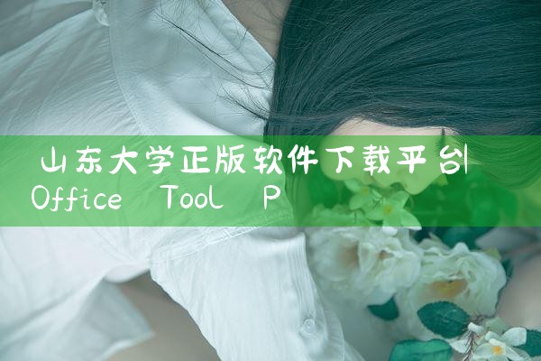 山东大学正版软件下载平台
