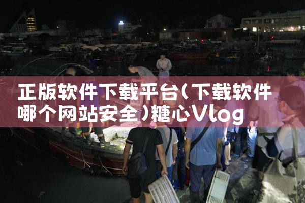 正版软件下载平台|糖心Vlog入口