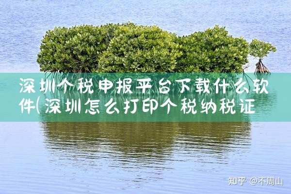 深圳个税申报平台下载什么软件