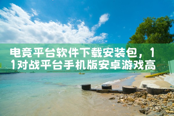 电竞平台软件下载安装包