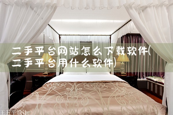 二手平台网站怎么下载软件