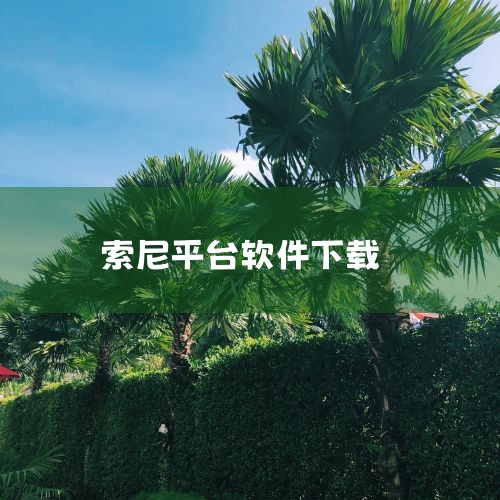 1.在手机基樱界面找到并打开【索尼精选】。Ⅱ 索尼xperia 1iii怎么下载软件 下载步骤如下：1、在手机界面找到“应用市场”应用，点击进入。2、点开应用市场APP图表，进入主界面，在搜索一栏输入,糖心Vlog入口